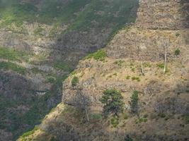 la isla de madeira foto