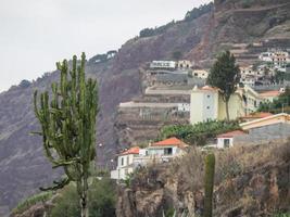 funchal and the island of madeira photo