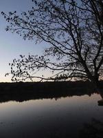 pequeño lago en westfalia foto