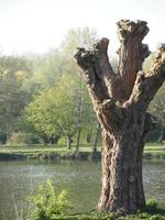 lago en el alemán Munsterland foto