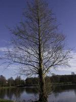 small lake in germany photo