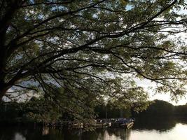 pequeño lago en Alemania foto