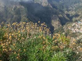 la isla de madeira foto