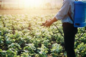 Asian woman and man farmer working together in organic hydroponic salad vegetable farm. using tablet inspect quality of lettuce in greenhouse garden. Smart farming photo