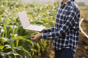 asiático mujer y hombre granjero trabajando juntos en orgánico hidropónico ensalada vegetal granja. utilizando tableta inspeccionar calidad de lechuga en invernadero jardín. inteligente agricultura foto