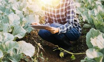 asiático mujer y hombre granjero trabajando juntos en orgánico hidropónico ensalada vegetal granja. utilizando tableta inspeccionar calidad de lechuga en invernadero jardín. inteligente agricultura foto