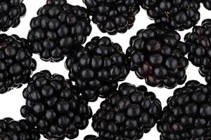 Blackberry isolated on white background photo