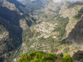 the island of madeira photo