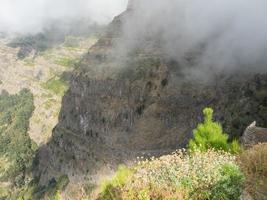 la isla de madeira foto