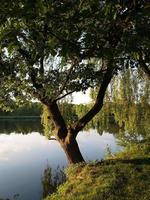 pequeño lago en Alemania foto