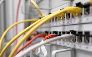 Network technology - multiple colorful cables in an IT and server room photo