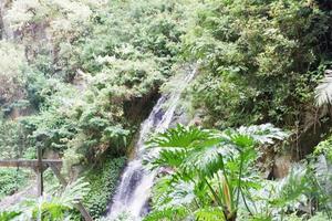 water source in the forest photo
