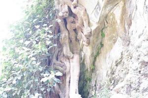 scary cliff in nature up close photo