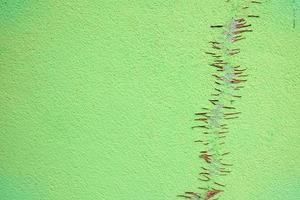 Dried Roots on Green Concrete Wall Texture Background. photo