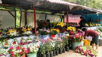 Tomohon, Indonesia  December 2022, A bustling flower shop ahead of the new year photo