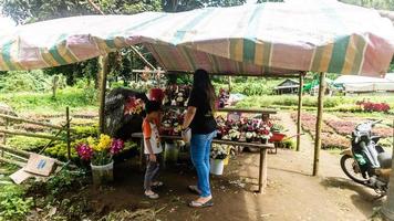 Tomohon, Indonesia  December 2022, A bustling flower shop ahead of the new year photo