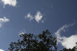 nube en el cielo. cielo de verano mucho aire foto