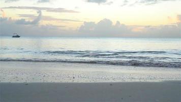 geweldig mooie zonsondergang op een exotisch Caribisch strand video