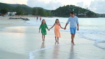 portrait de famille en été à l'extérieur video