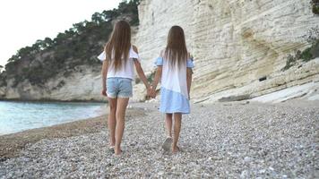 poco ragazze avendo divertimento a tropicale spiaggia durante estate vacanza video