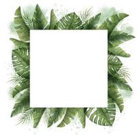 Template with green tropical Palm Leaves. Watercolor hand drawn square Frame with exotic jungle summer plants on isolated background. Botanical colorful backdrop for ecology banner or invitations. vector