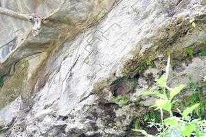 scary cliff in nature up close photo