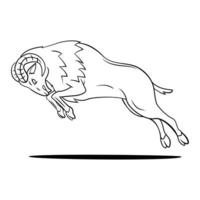 Ram Sheep illustration on white background vector