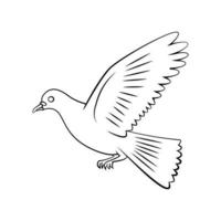 Peace Dove Symbol illustration on white background vector