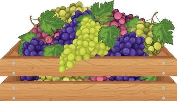 Grape. Wooden box with grapes. Multicolored bunches of grapes in a wooden box. Fruits in a package. Vector illustration isolated on a white background