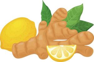 Ginger. Vector image of ginger with lemon and leaves. Medicinal plant in cartoon style. Isolated on a white background