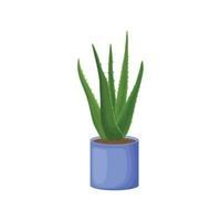 Aloe vera in cartoon style is a medicinal plant of aloe in a pot. Indoor aloe plant in a blue pot. Vector illustration isolated on a white background