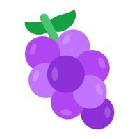 An icon design of grapes vector