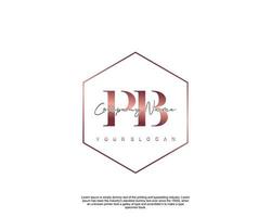 Initial letter PB Feminine logo beauty monogram and elegant logo design, handwriting logo of initial signature, wedding, fashion, floral and botanical with creative template vector