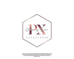 Initial letter PX Feminine logo beauty monogram and elegant logo design, handwriting logo of initial signature, wedding, fashion, floral and botanical with creative template vector