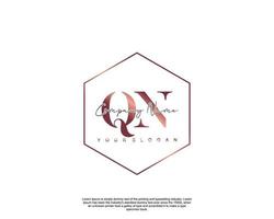Initial letter QN Feminine logo beauty monogram and elegant logo design, handwriting logo of initial signature, wedding, fashion, floral and botanical with creative template vector