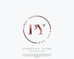 Initial letter PY Feminine logo beauty monogram and elegant logo design, handwriting logo of initial signature, wedding, fashion, floral and botanical with creative template vector