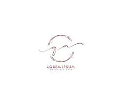 Initial letter QA Feminine logo beauty monogram and elegant logo design, handwriting logo of initial signature, wedding, fashion, floral and botanical with creative template vector