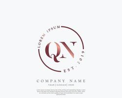 Initial letter QN Feminine logo beauty monogram and elegant logo design, handwriting logo of initial signature, wedding, fashion, floral and botanical with creative template vector