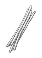 Ink sketch of bread sticks. Isolated on white background. Hand drawn vector illustration. Retro style.