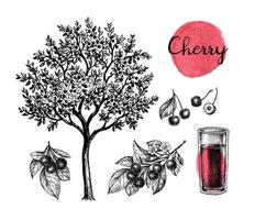 Cherry tree with ripe fruits, brunch and glass of juice. Ink sketch isolated on white background. Hand drawn vector illustration. Vintage style stroke drawing.