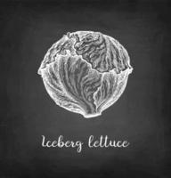 Lettuce iceberg. Chalk sketch on blackboard background. Hand drawn vector illustration. Retro style.