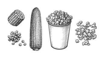 Popcorn in cup. Corncob and handful of corn kernels. Ink sketch set isolated on white background. Hand drawn vector illustration. Retro style.