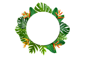 Tropical forest with leaves and flowers surrounding a white circle frame Isolated on transparent background PNG file