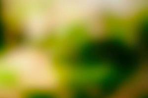 Blurred Leaves with Beautiful Bokeh Background, Suitable for Banner, Backdrop, and Overlay. photo