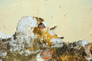 Cream Color Peeling Paint on Concrete wall. photo