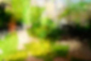 Blurred Leaves with Beautiful Bokeh Background, Suitable for Banner, Backdrop, and Overlay. photo