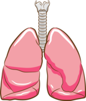 pulmão png gráfico clipart design