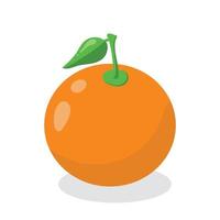 Orange vector with leaf on white background