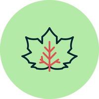 Maple Leaf Vector Icon