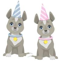 Set of two gray dogs with different striped birthday hats vector